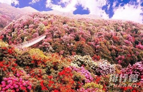 贵州旅游十大景点排名是哪里_贵州旅游景点推荐