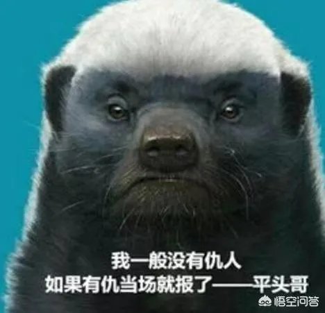 土耳其为什么敢“剑”指在叙美军?