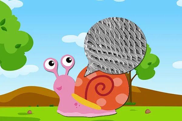 蜗牛有多少颗牙齿