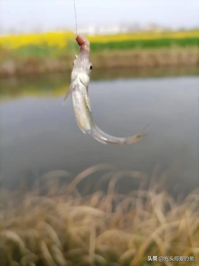 户外钓鱼直播怎么做？