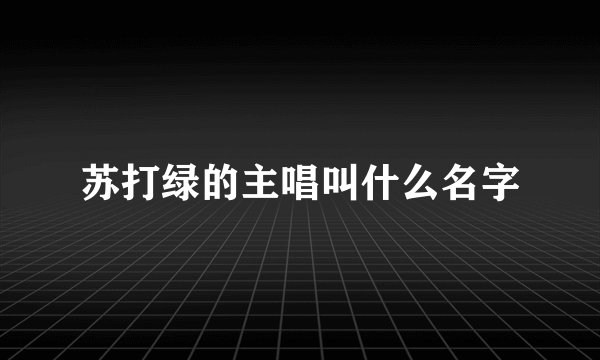 苏打绿的主唱叫什么名字