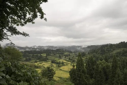 广阔视角 适马12-24mm F4官方样张赏