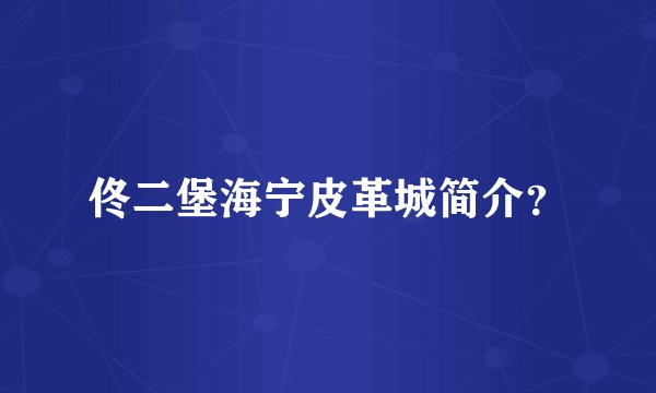 佟二堡海宁皮革城简介？