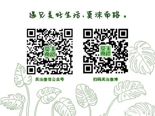 2018加盟奶茶冷饮店,需要承受什么?准备什么?