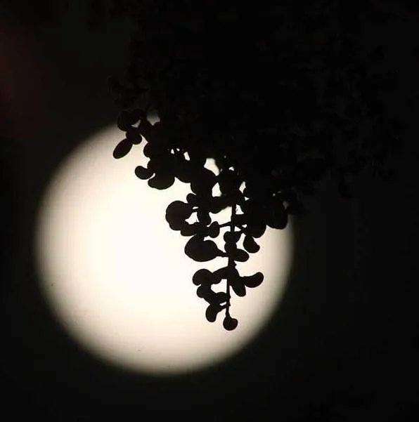 中秋月亮励志图片发朋友圈？