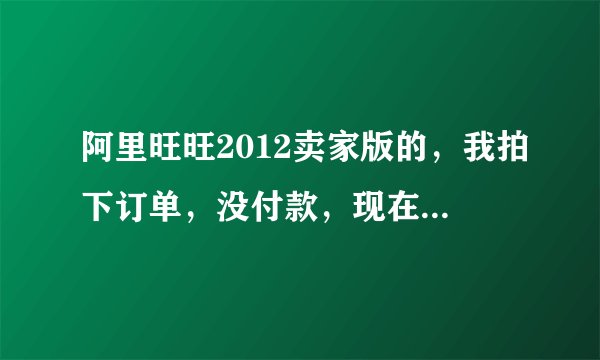 阿里旺旺2012卖家版的，我拍下订单，没付款，现在打不开了，按那个订单没反应，怎么弄啊