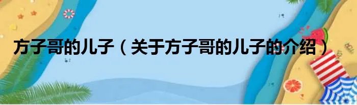 方子哥的儿子（关于方子哥的儿子的介绍）