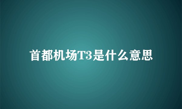 首都机场T3是什么意思