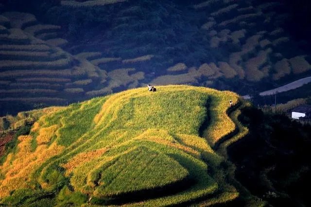 五一去崇义旅游,去玩过的驴友可以说下攻略吗?