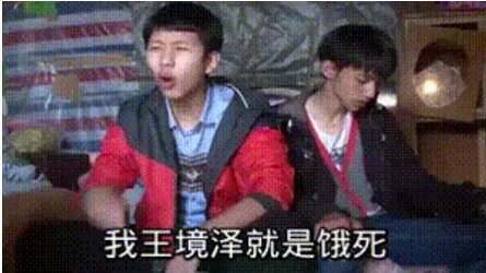 变形计王境泽哪一集啊？就是说不吃饭就死的那个人但还是吃了