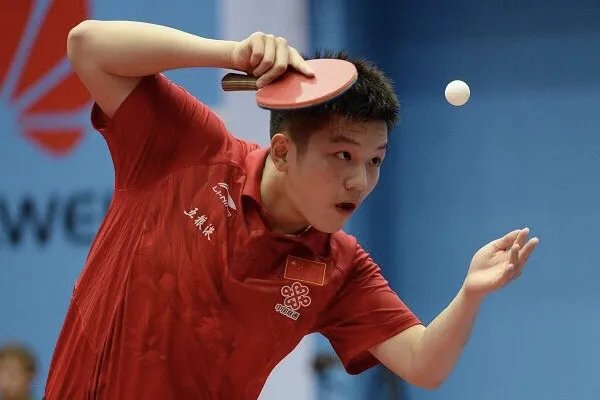 樊振东击败马龙夺得世界杯四冠王，他现在可不可以说是国乒一哥？