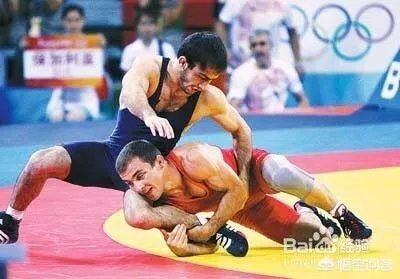 如何欣赏奥运会的摔跤比赛？