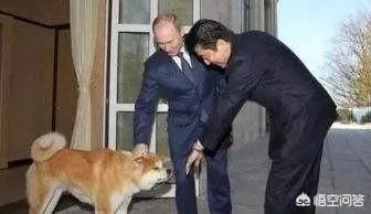 日本人如何看待安倍晋三?