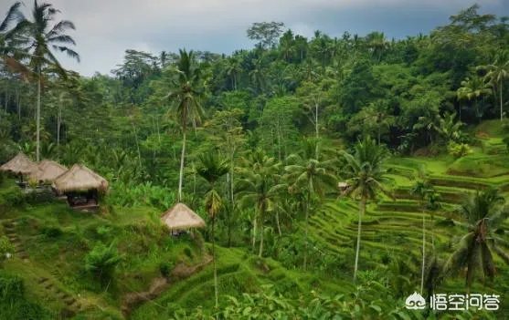 为什么中国有些人喜欢去东南亚旅游？