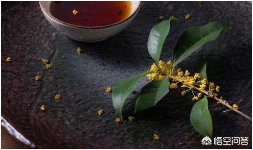 中国白酒的起源在哪里？