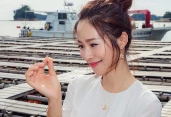 如何看待江一燕事件？