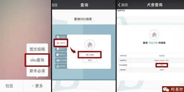 柯基5个月一天能跑多少公里