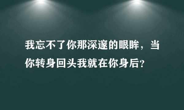 我忘不了你那深邃的眼眸，当你转身回头我就在你身后？