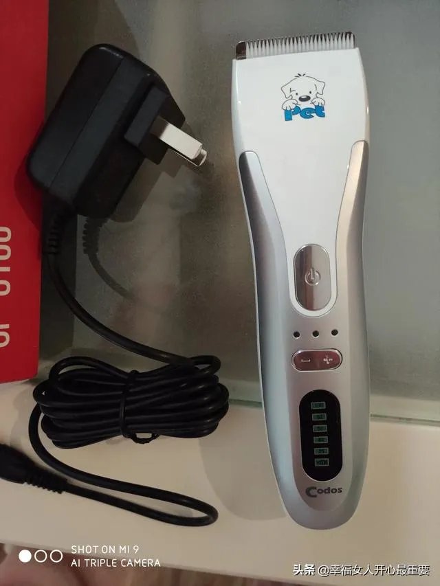 养一只柯基一年大概要多少钱？