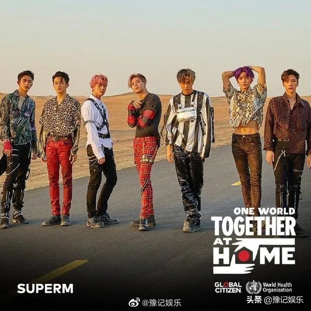 如何评价世卫组织举办的