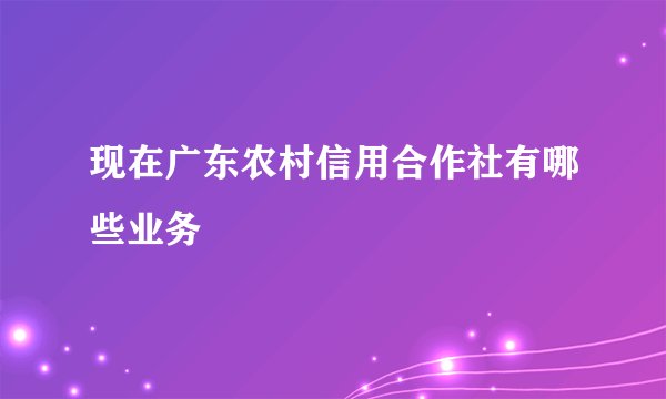 现在广东农村信用合作社有哪些业务