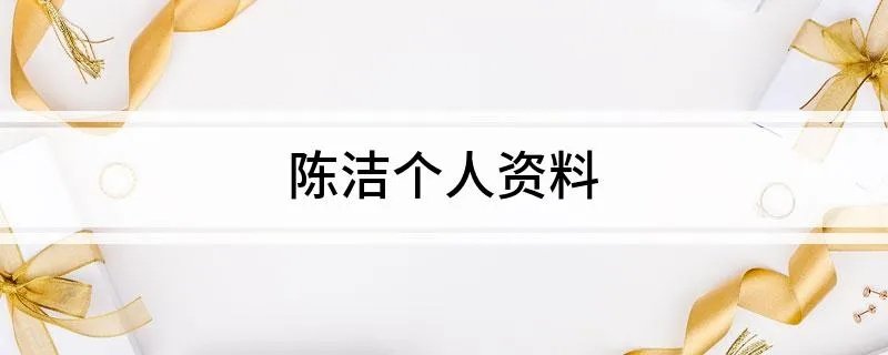 陈洁个人资料