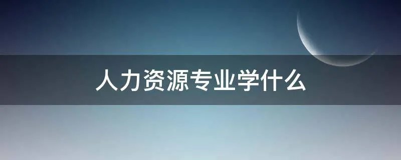 人力资源专业学什么