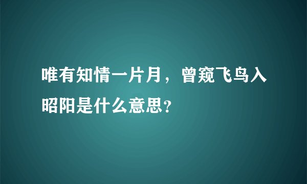 唯有知情一片月，曾窥飞鸟入昭阳是什么意思？