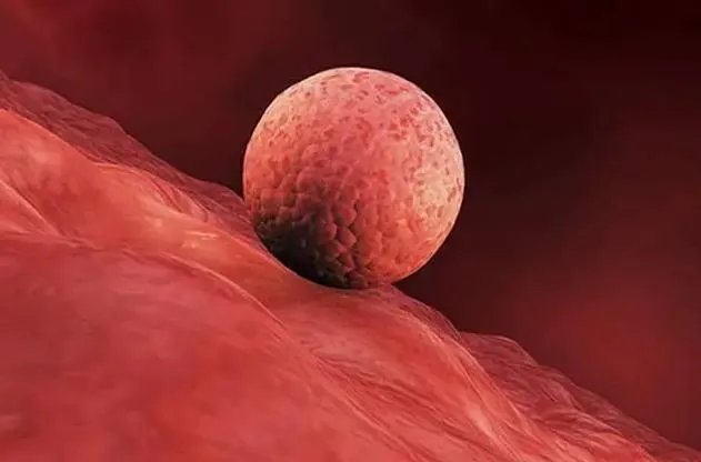 西安助孕公司机构做试管婴儿怎么收费-西安市第四医院试管婴儿费用多少？附试管费用明细