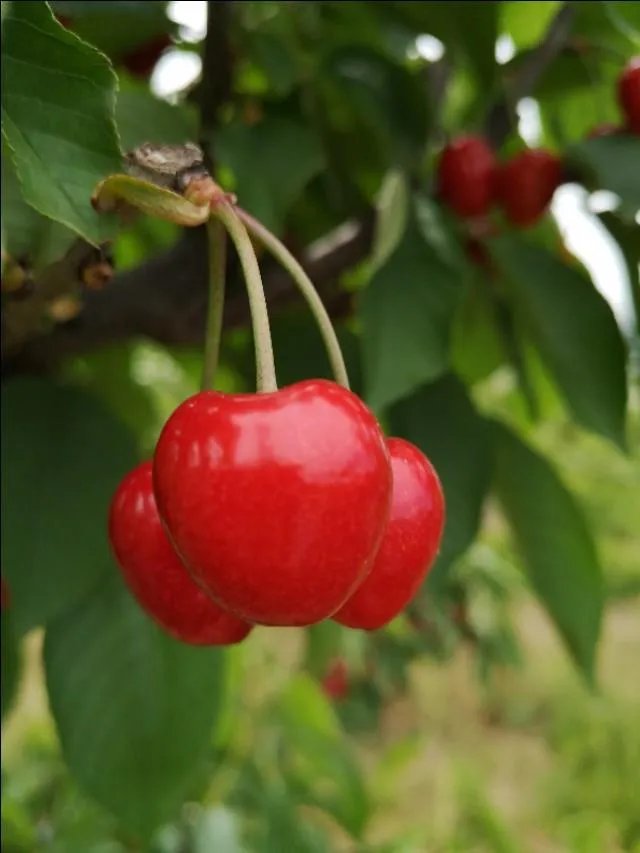 我理财是为了人生更自由，请问这是爱玩的表现吗？