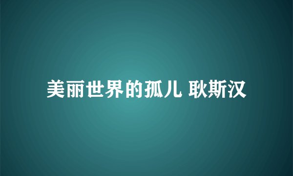 美丽世界的孤儿 耿斯汉