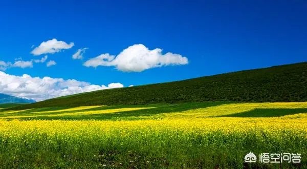 青海门源你去过吗？