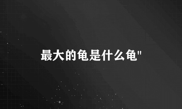 最大的龟是什么龟