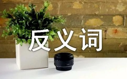 冷清的反义词是什么