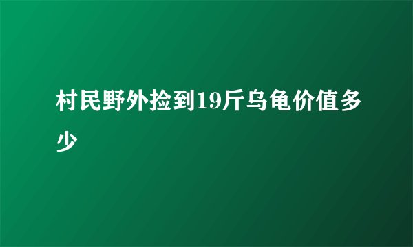 村民野外捡到19斤乌龟价值多少