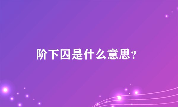阶下囚是什么意思？