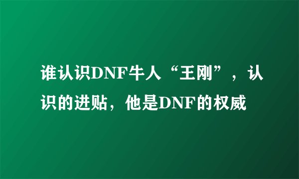 谁认识DNF牛人“王刚”，认识的进贴，他是DNF的权威
