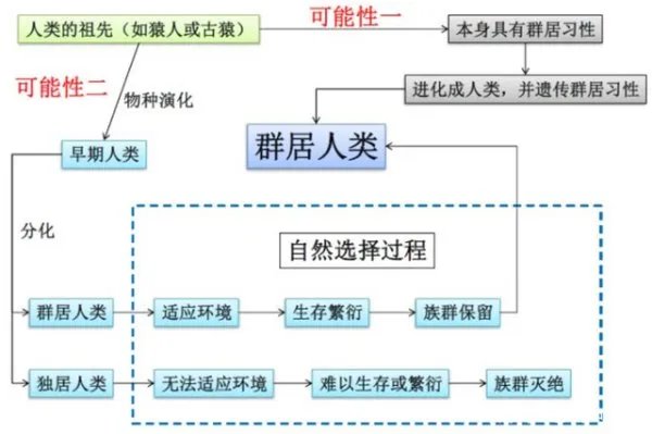 为什么人一定要繁衍后代？