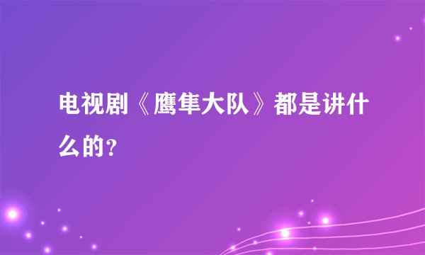 电视剧《鹰隼大队》都是讲什么的？