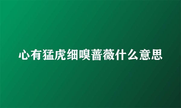 心有猛虎细嗅蔷薇什么意思