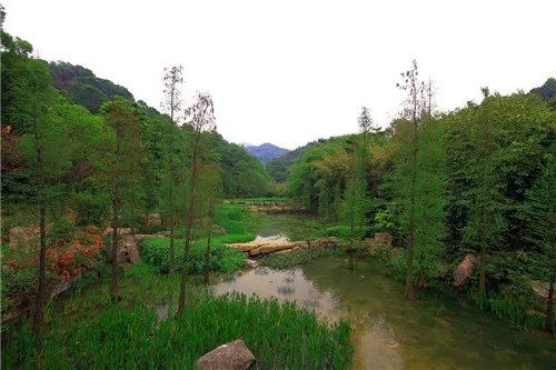 广州蓝天花园为何便宜