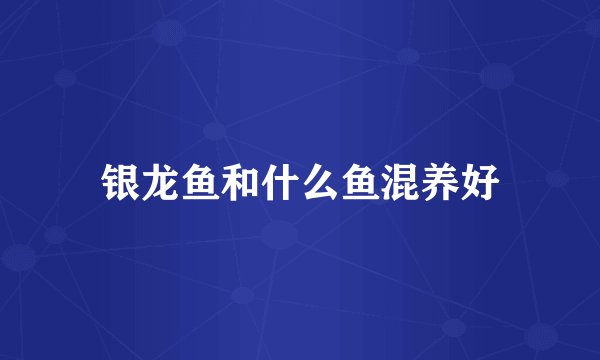 银龙鱼和什么鱼混养好