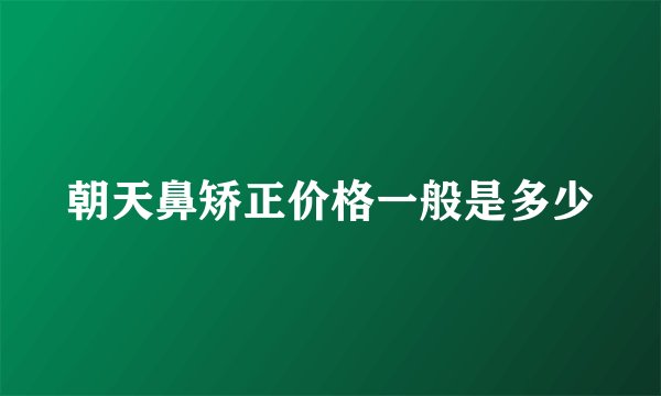 朝天鼻矫正价格一般是多少