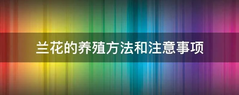 兰花的养殖方法和注意事项