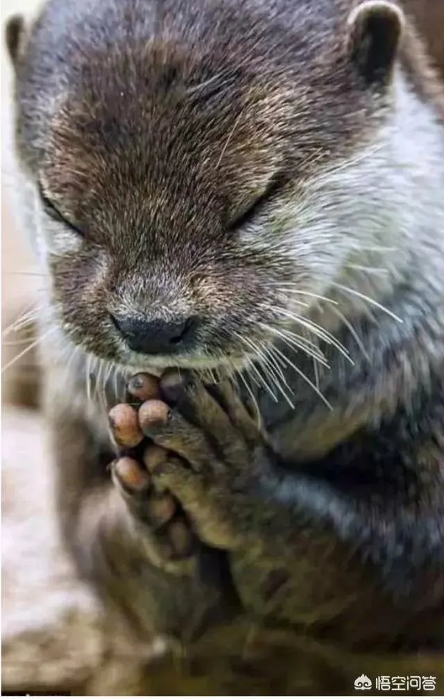 最近逝世的名人都有谁？