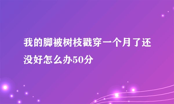 我的脚被树枝戳穿一个月了还没好怎么办50分