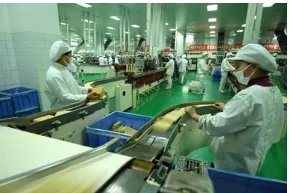 饮料生产线如何保养