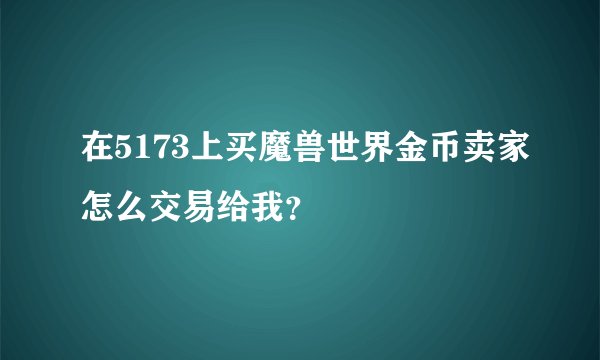 在5173上买魔兽世界金币卖家怎么交易给我？