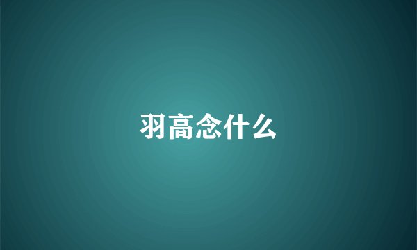 羽高念什么