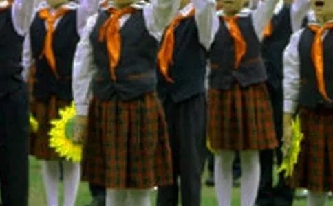 我叫红领巾作文